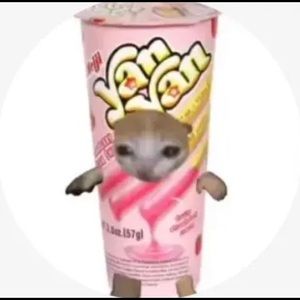 Meet your Posher, Karla